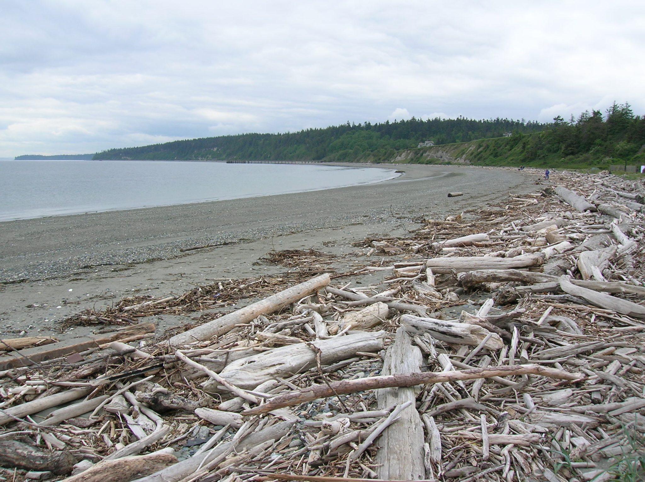 Puget Sound Islands & Lowlands – HIke of the Week