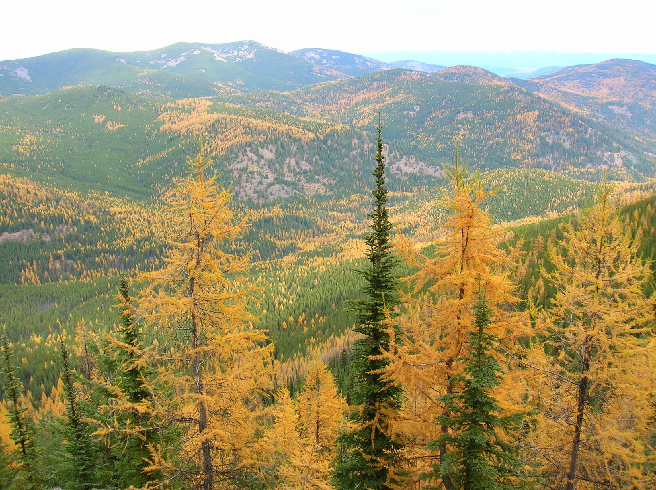 Kettle River Range HIke of the Week