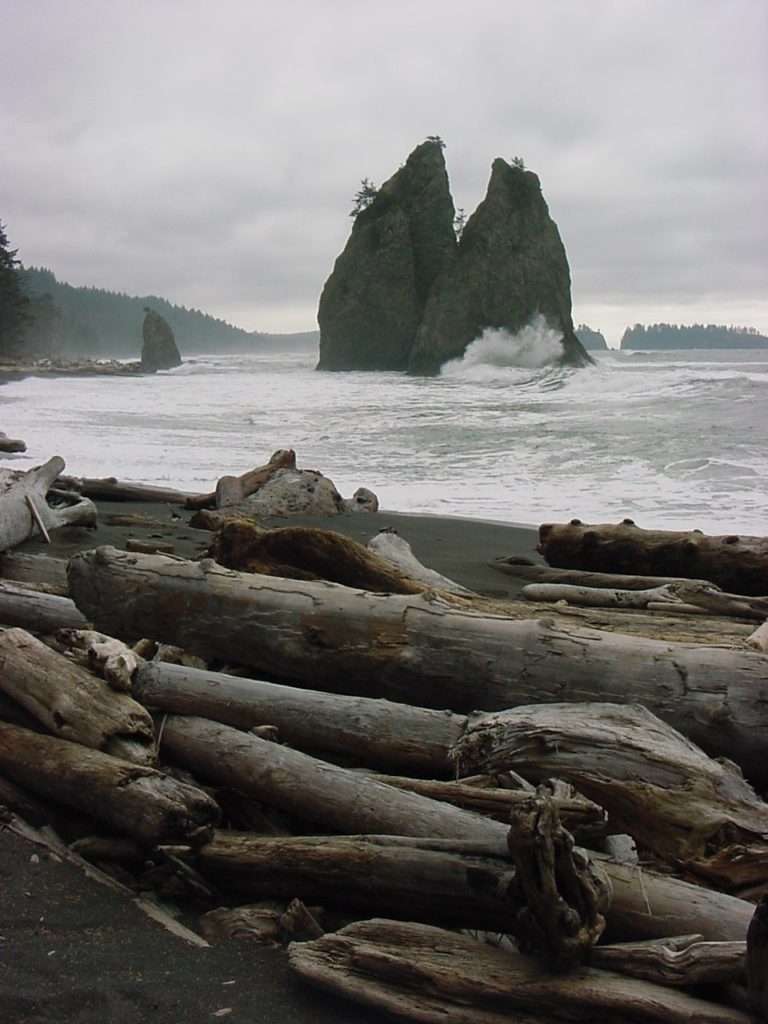 Hole in the Wall–walk a wilderness beach to a big natural arch – HIke of  the Week