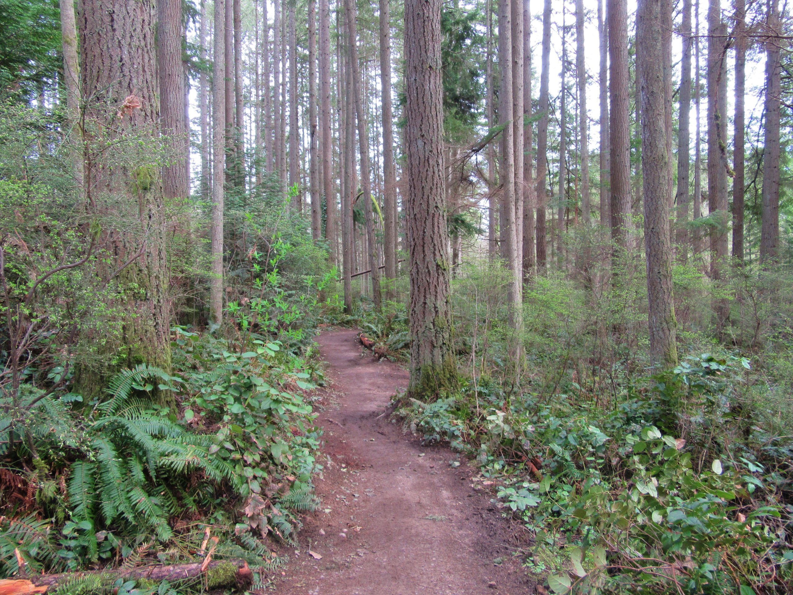 Mainline Trail—Hike through the heart of the Paradise Valley ...