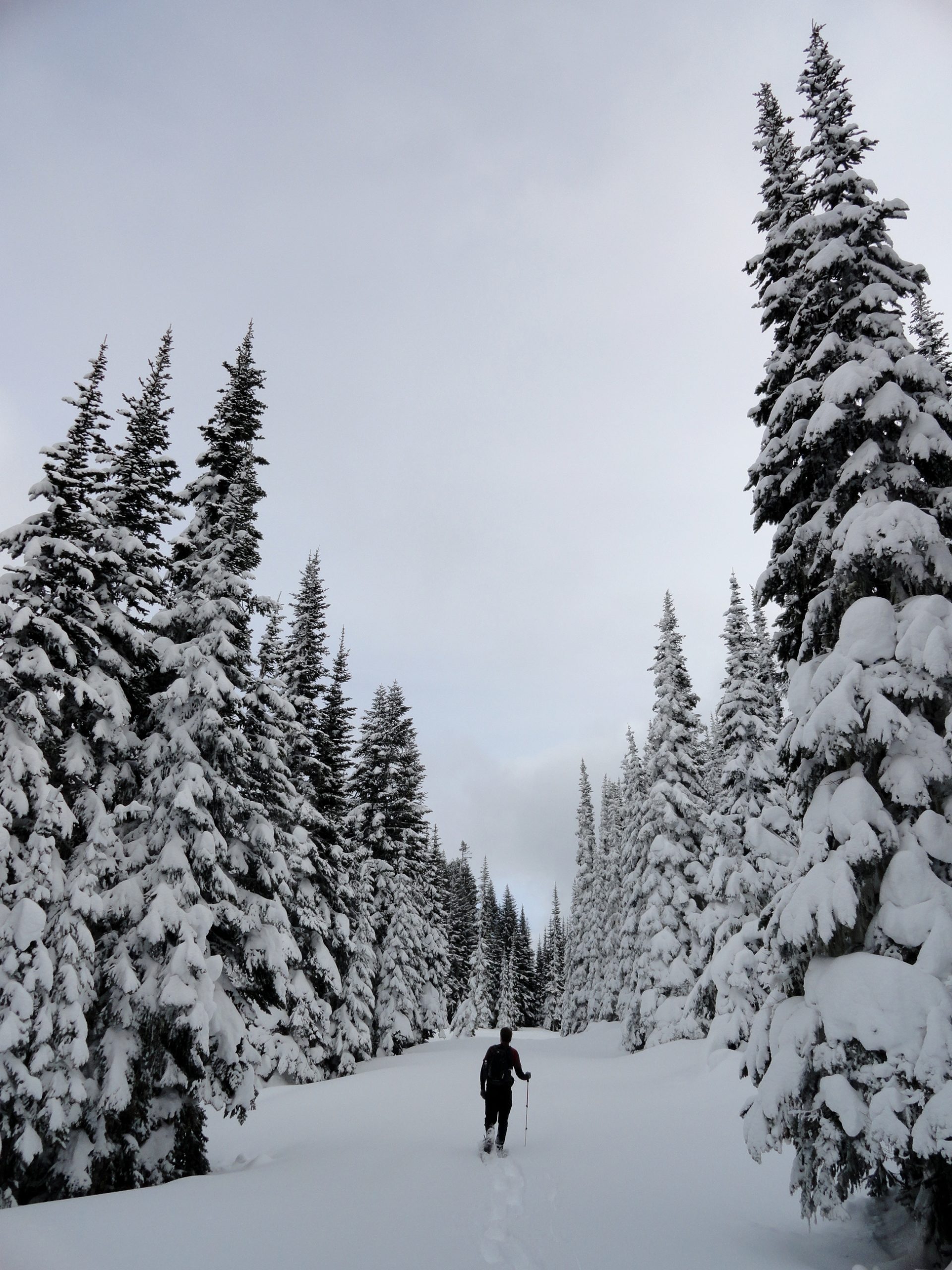 Corral Pass –Challenging snow shoe trip to high pass on Castle Mountain ...