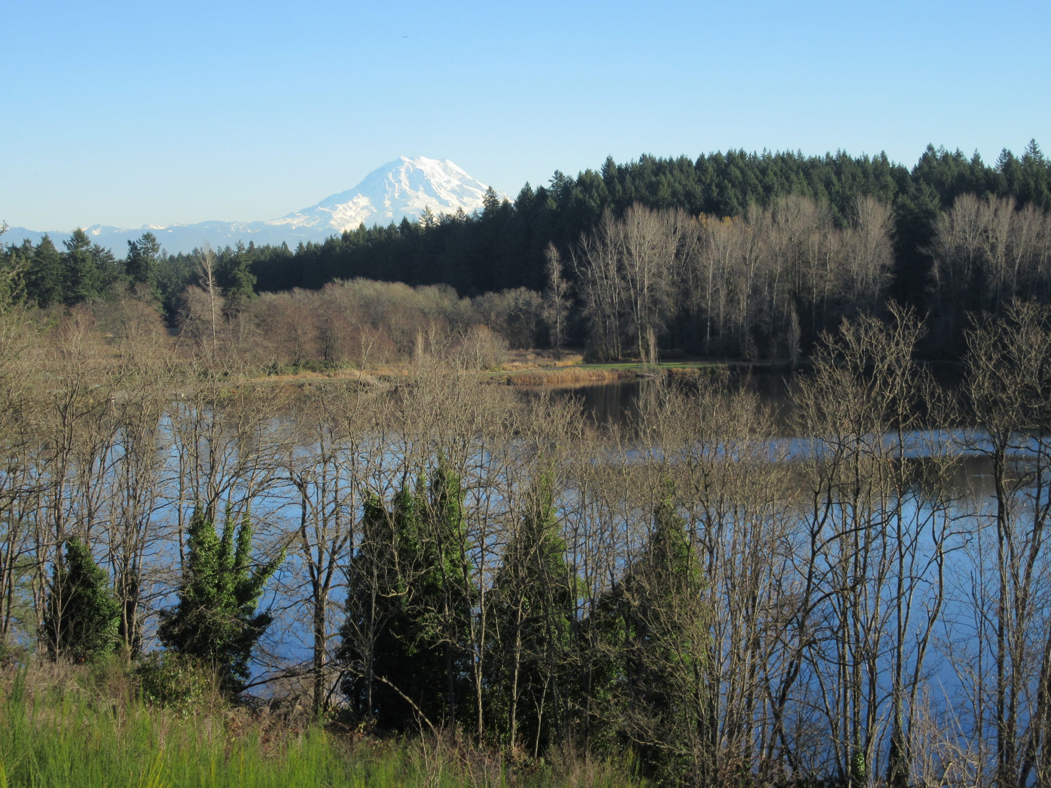 Fort Steilacoom Park — Hike historic grounds to a scenic lake and 