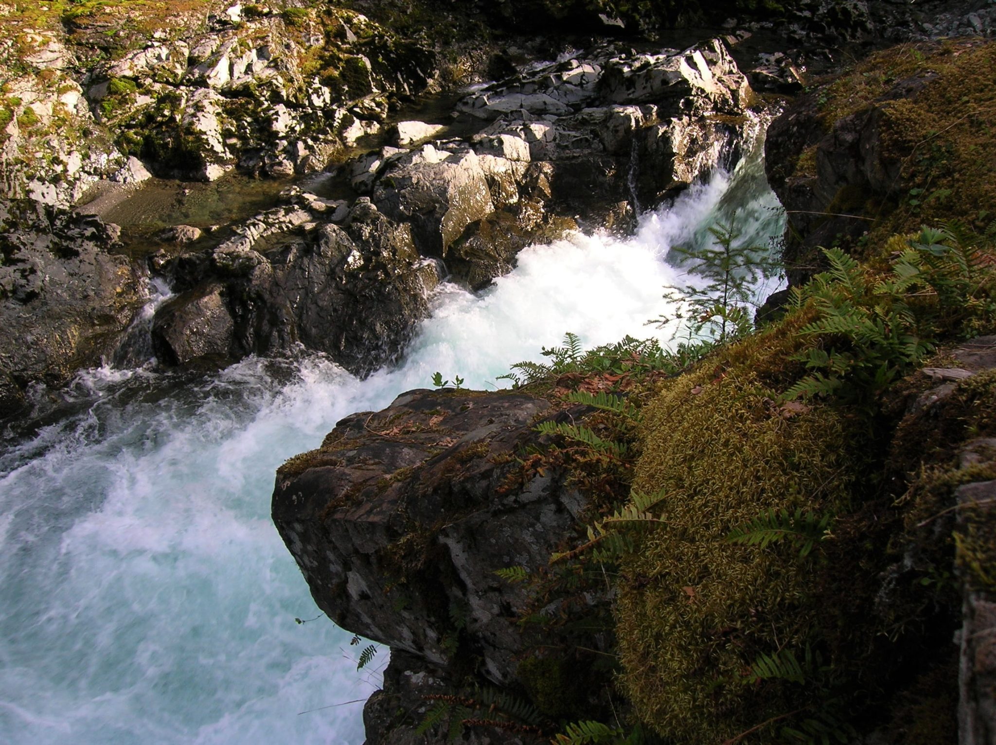 Ranger Hole –Hike to a Historic fishing spot on the Duckabush – HIke of ...