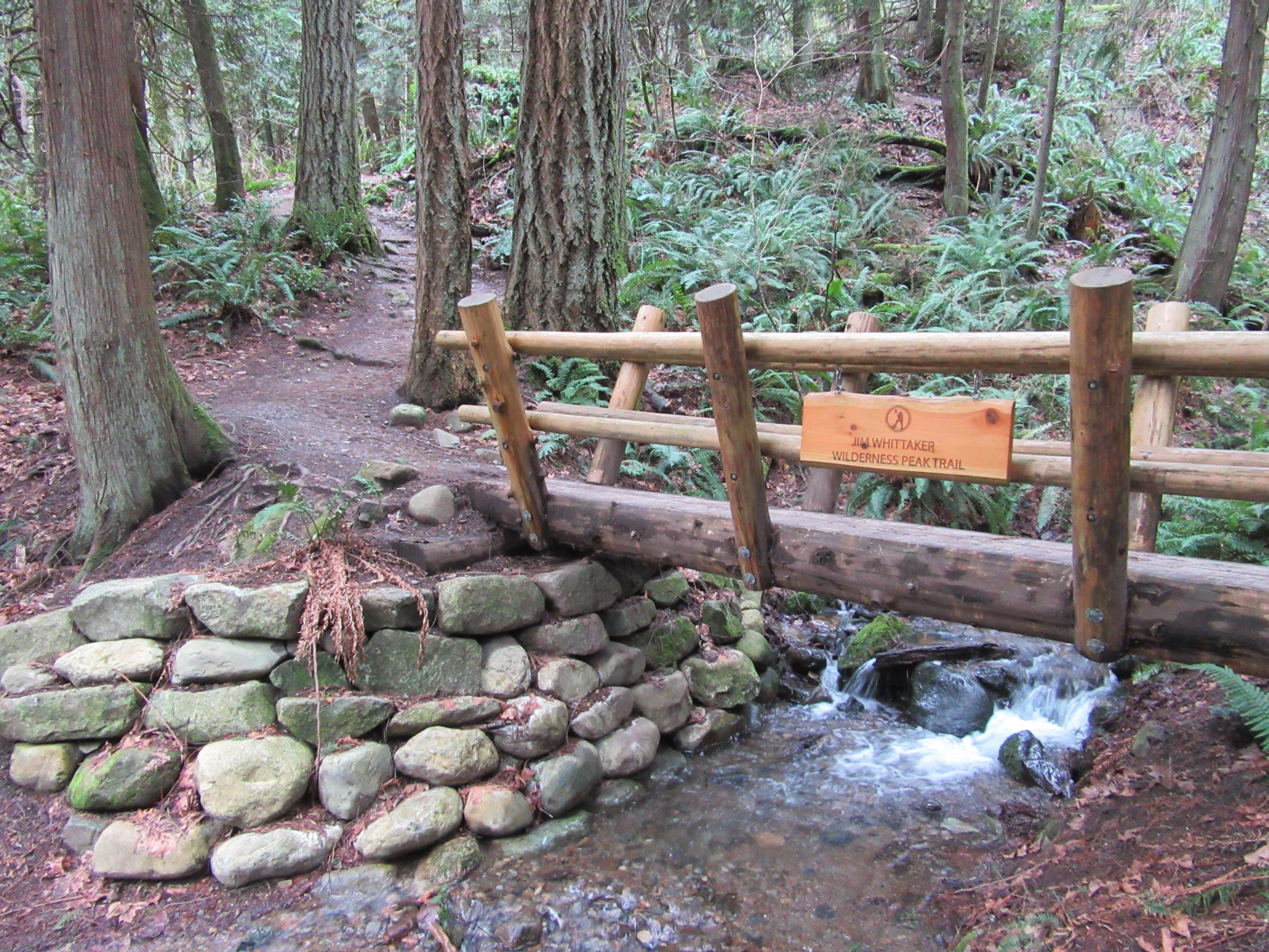 Cougar Mountain Wilderness Peak Loop – Hike Of The Week