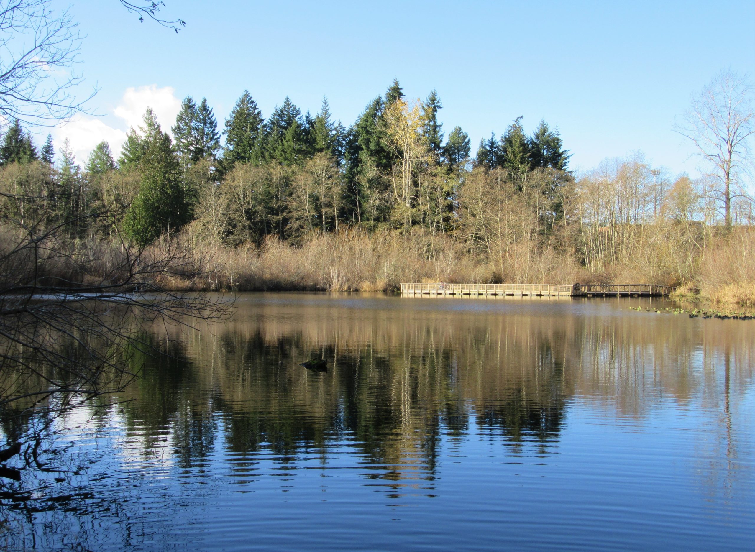 Scriber Lake Park Parking