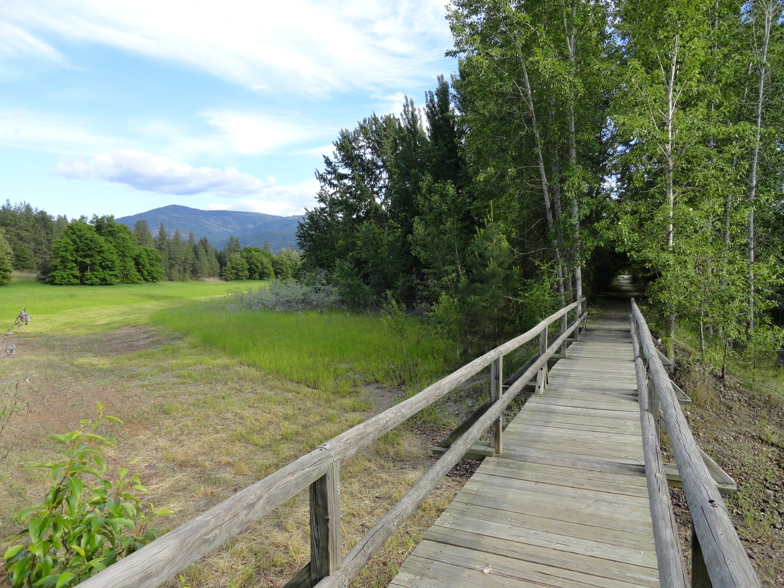 Old Kettle Falls Trail HIke of the Week